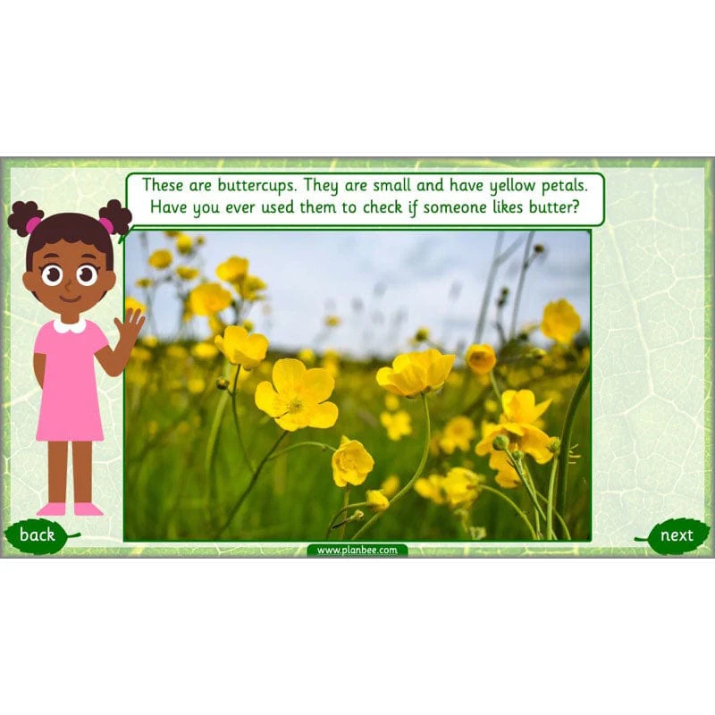 Identifying Plants - Image 45
