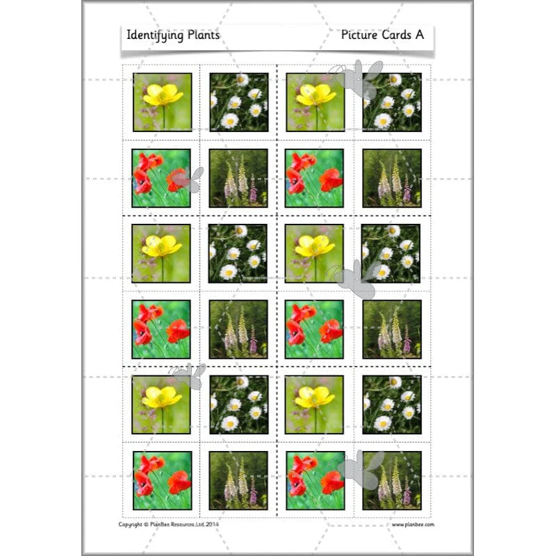 Identifying Plants - Image 46
