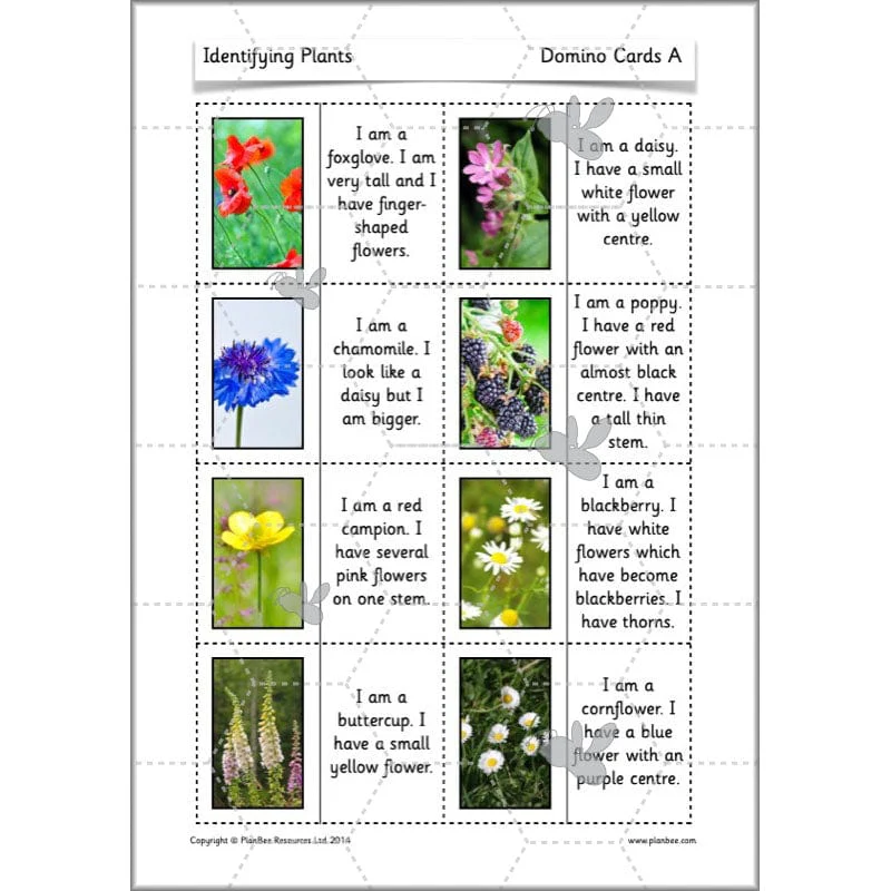 Identifying Plants - Image 47