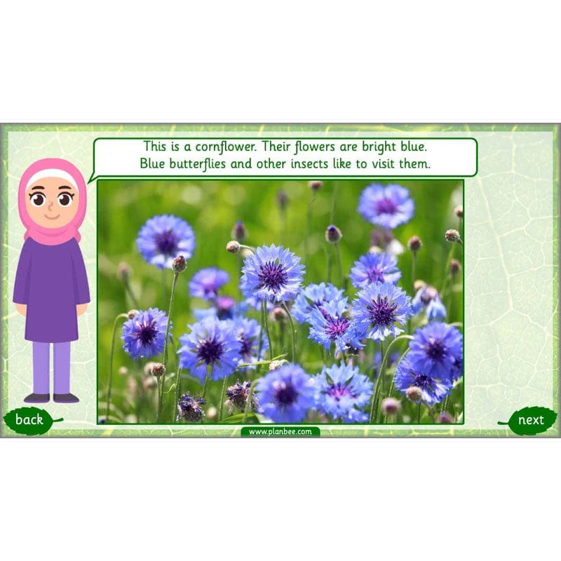 Identifying Plants - Image 5