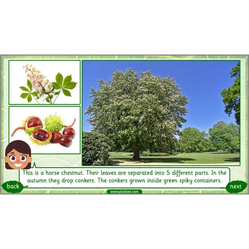 Identifying Plants - Image 51