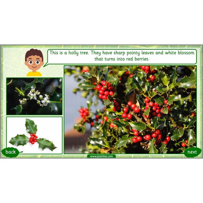 Identifying Plants - Image 52