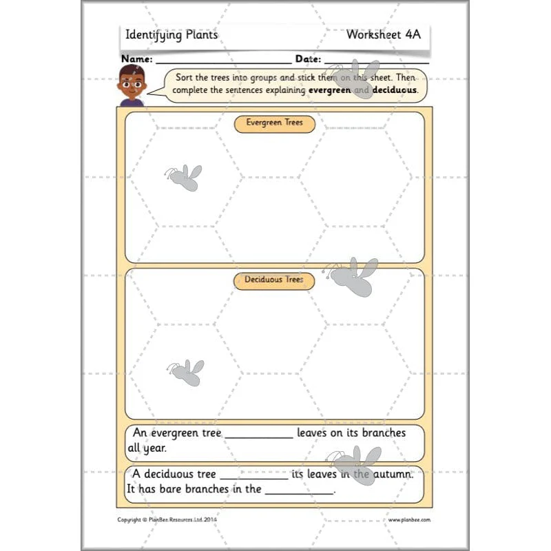 Identifying Plants - Image 54