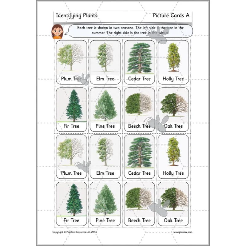 Identifying Plants - Image 55