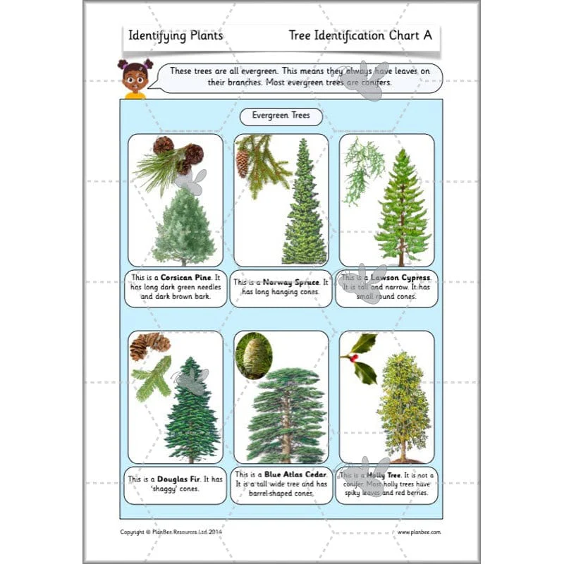 Identifying Plants - Image 56