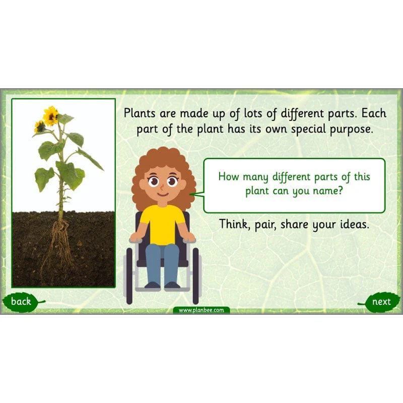 Identifying Plants - Image 58