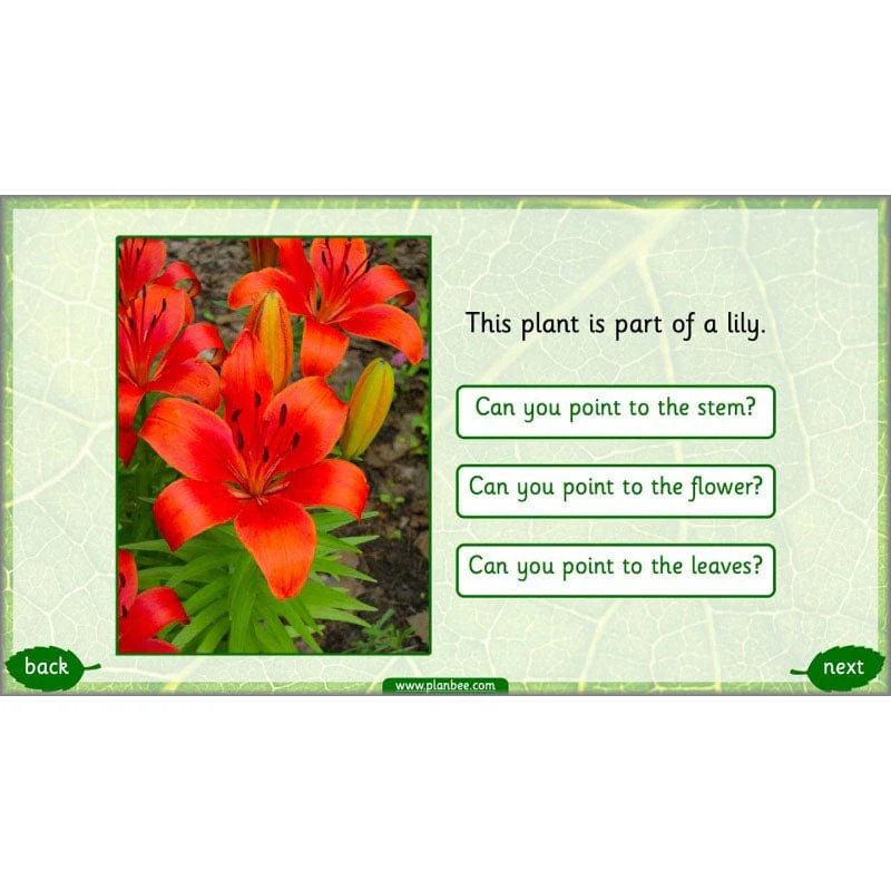 Identifying Plants - Image 59