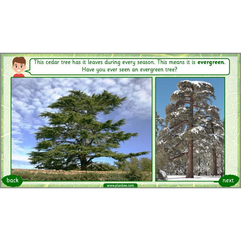 Identifying Plants - Image 6