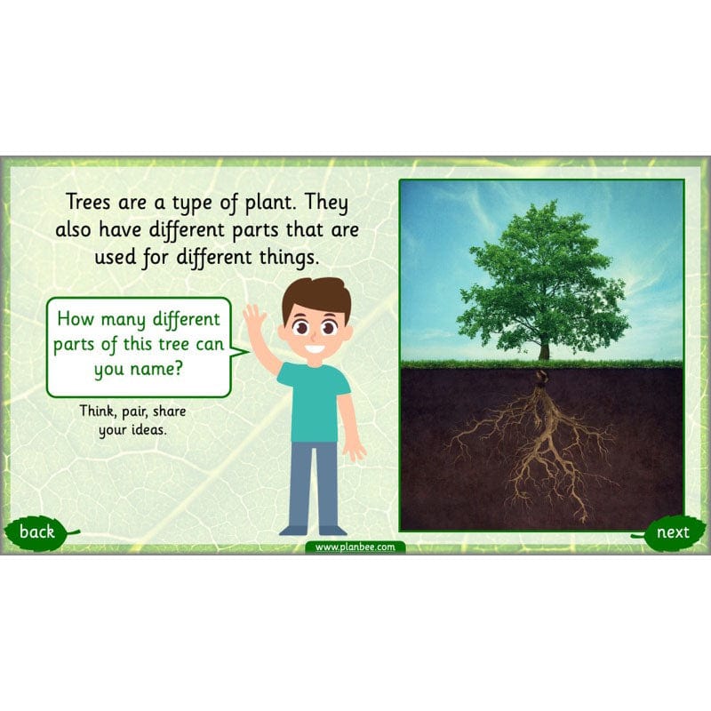 Identifying Plants - Image 60
