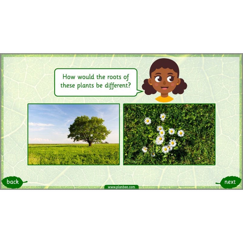 Identifying Plants - Image 61