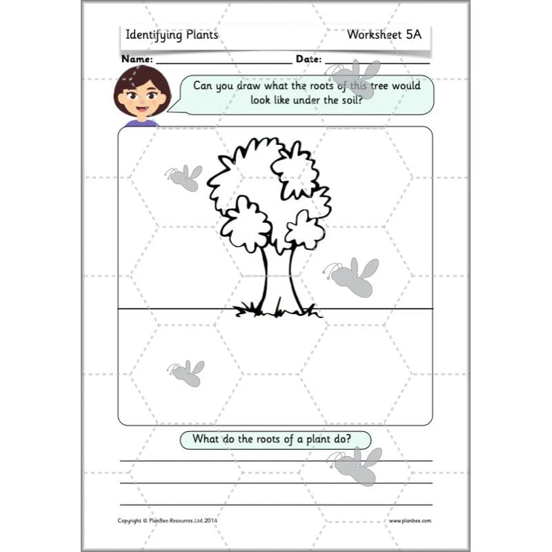 Identifying Plants - Image 62