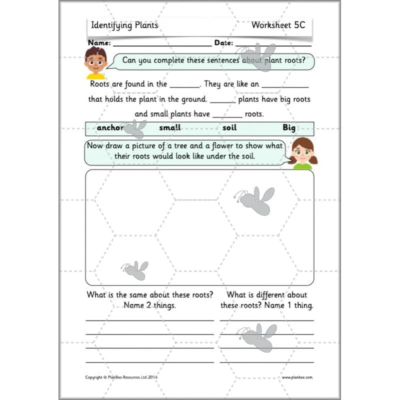 Identifying Plants - Image 63