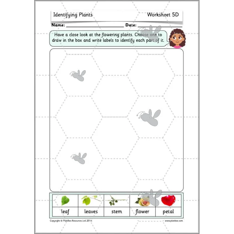 Identifying Plants - Image 64