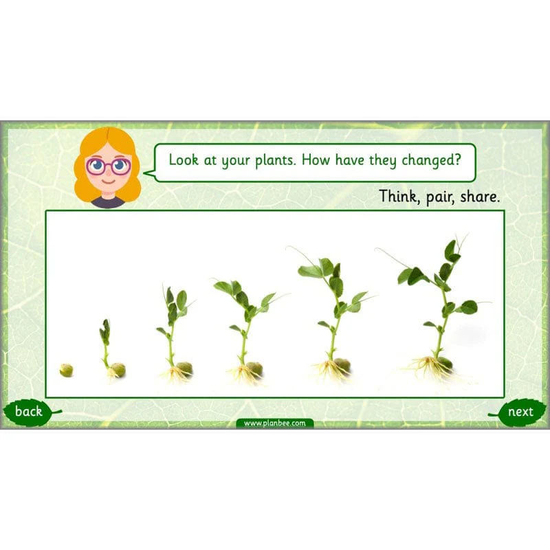 Identifying Plants - Image 68