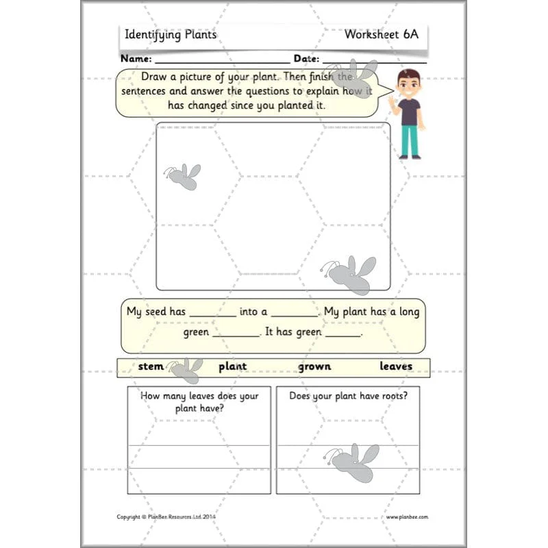 Identifying Plants - Image 70