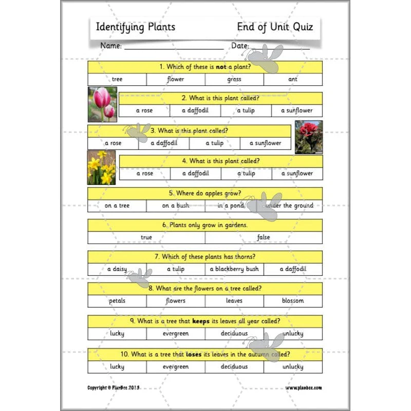 Identifying Plants - Image 73
