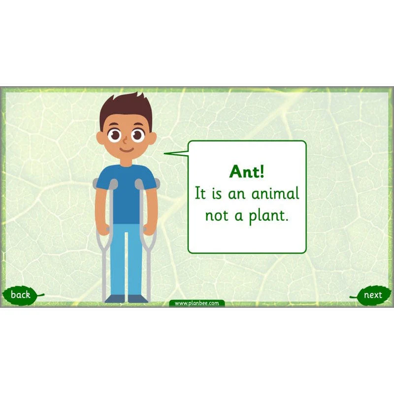 Identifying Plants - Image 9
