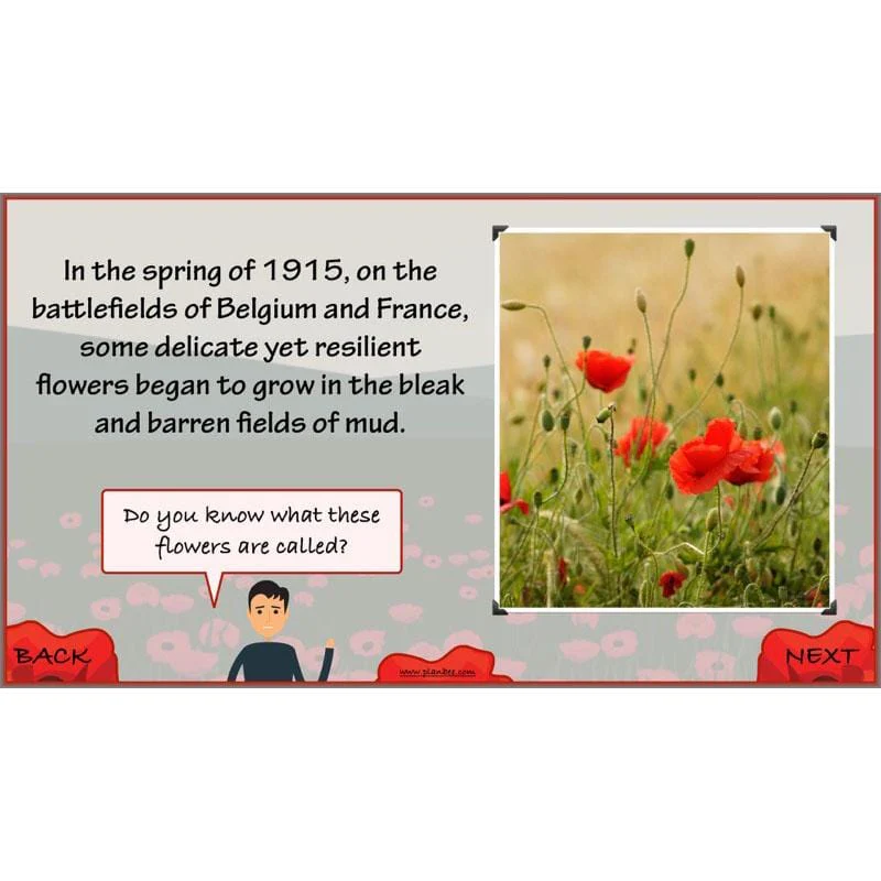 In Flanders Fields - Image 53