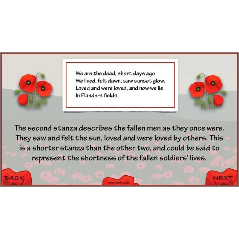 In Flanders Fields - Image 55