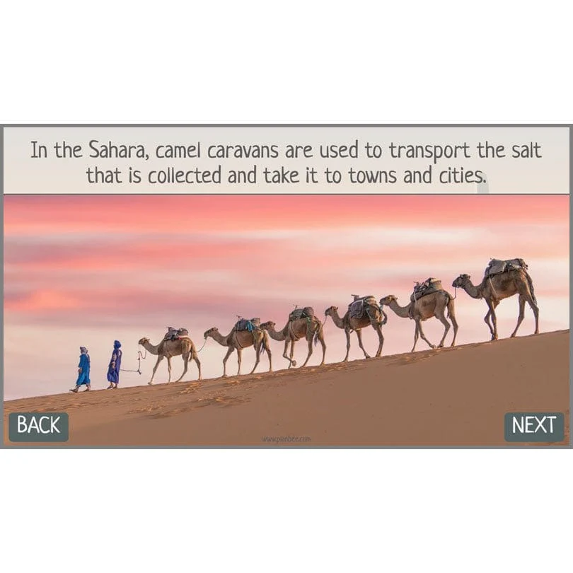 In the Desert - Image 10