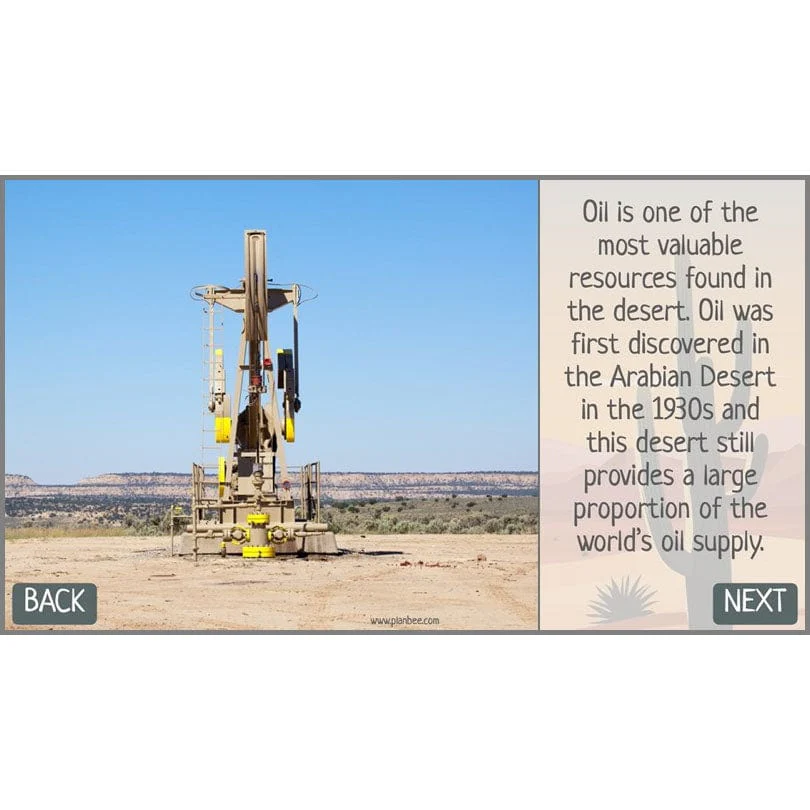In the Desert - Image 47