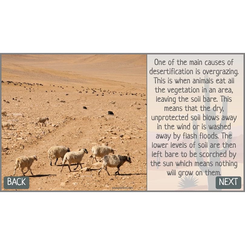 In the Desert - Image 65
