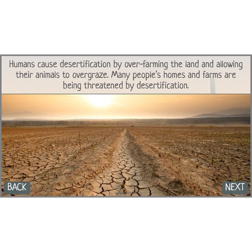 In the Desert - Image 66