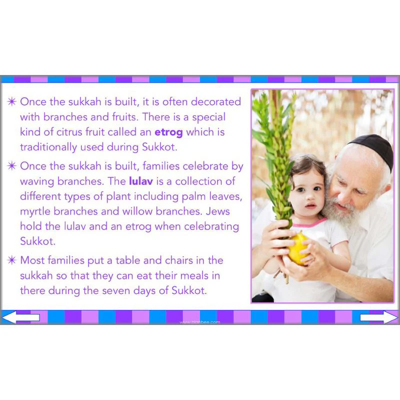 Jewish Celebrations - Image 12