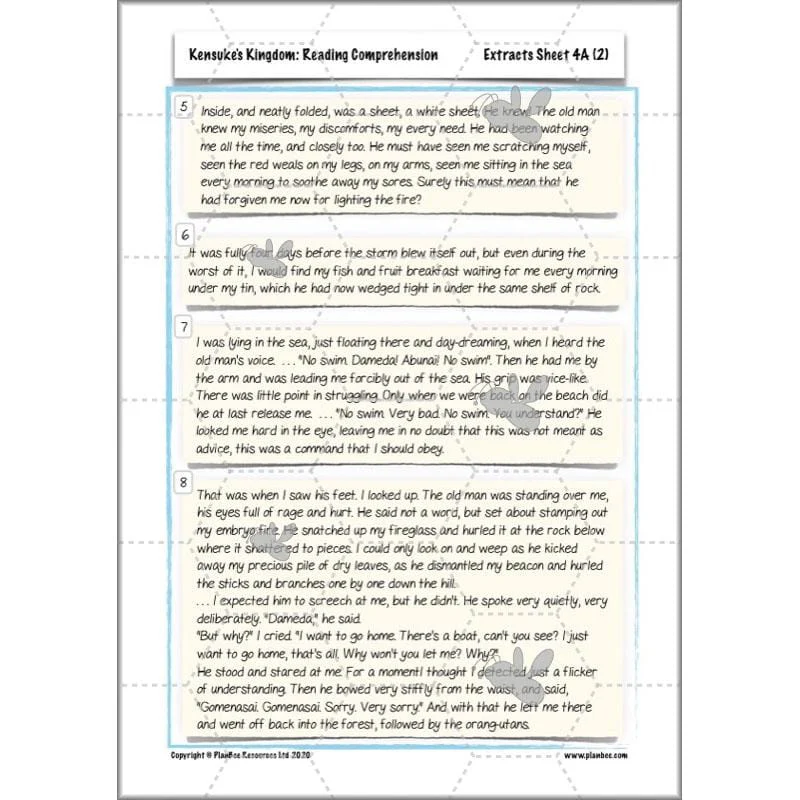 Kensuke's Kingdom: Reading Comprehension - Image 13