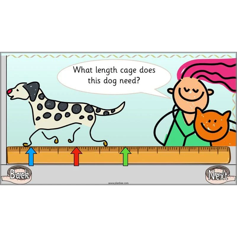 Let’s Compare Length, Height and Mass - Image 21