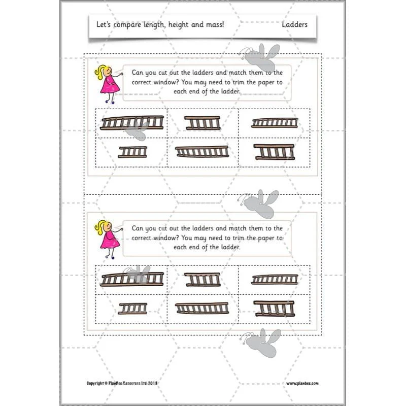 Let’s Compare Length, Height and Mass - Image 56