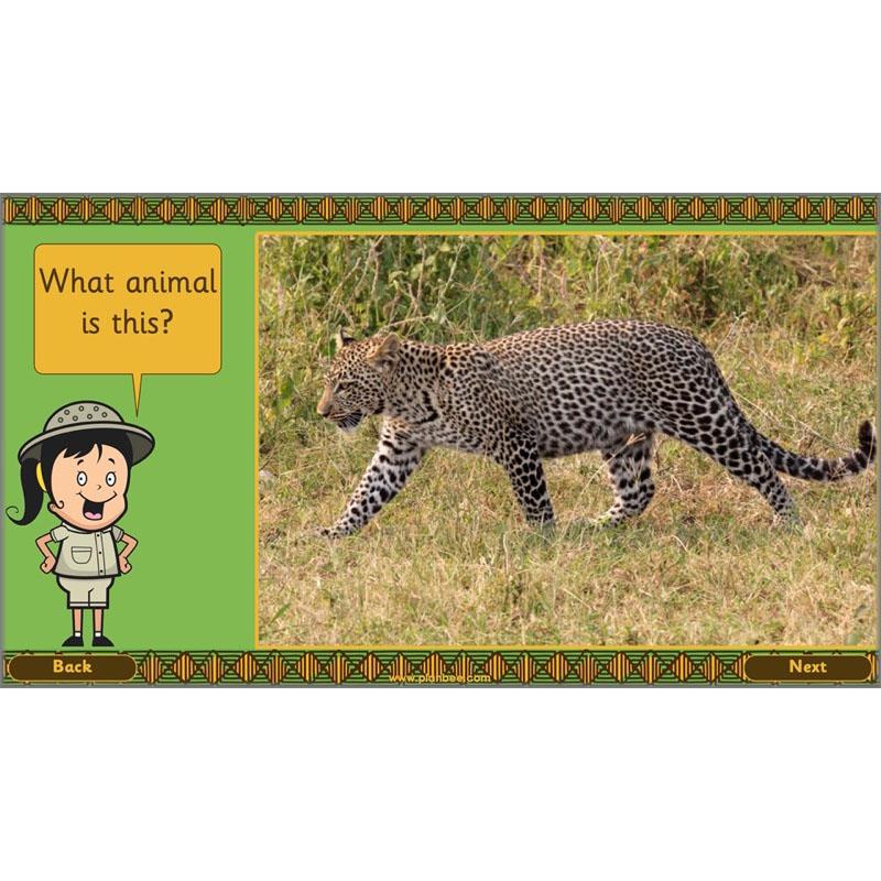 Let's go on Safari - Image 5
