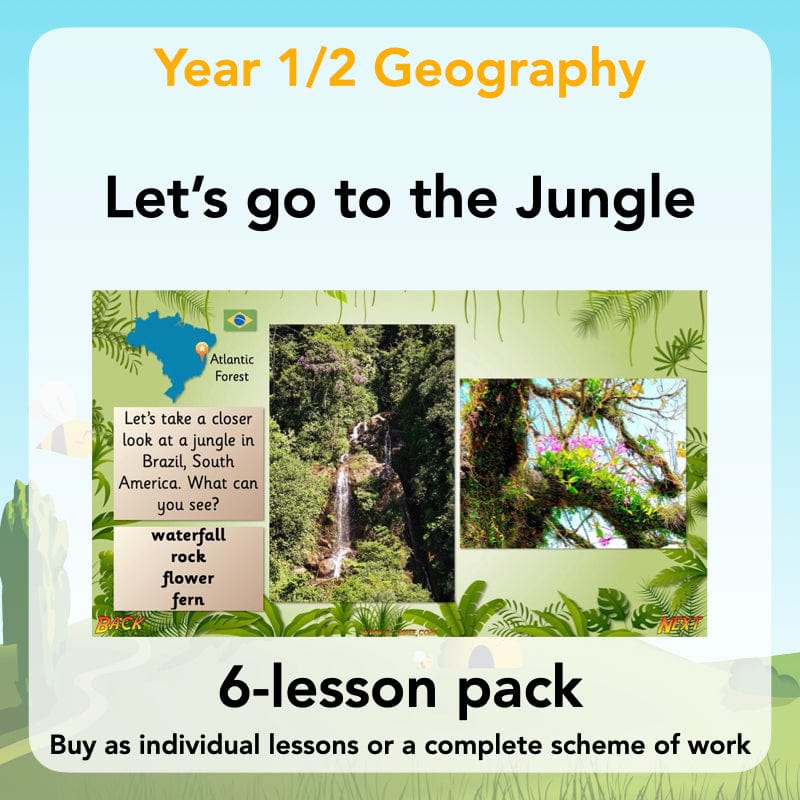 Let's go to the jungle
