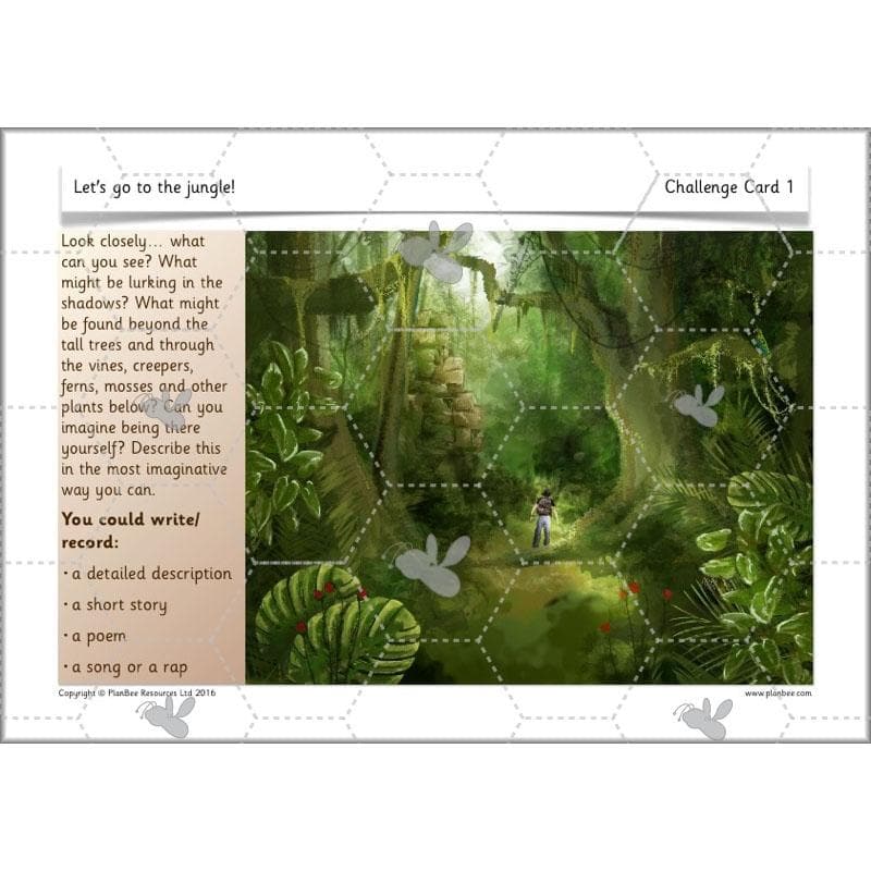 Let's go to the jungle - Image 17
