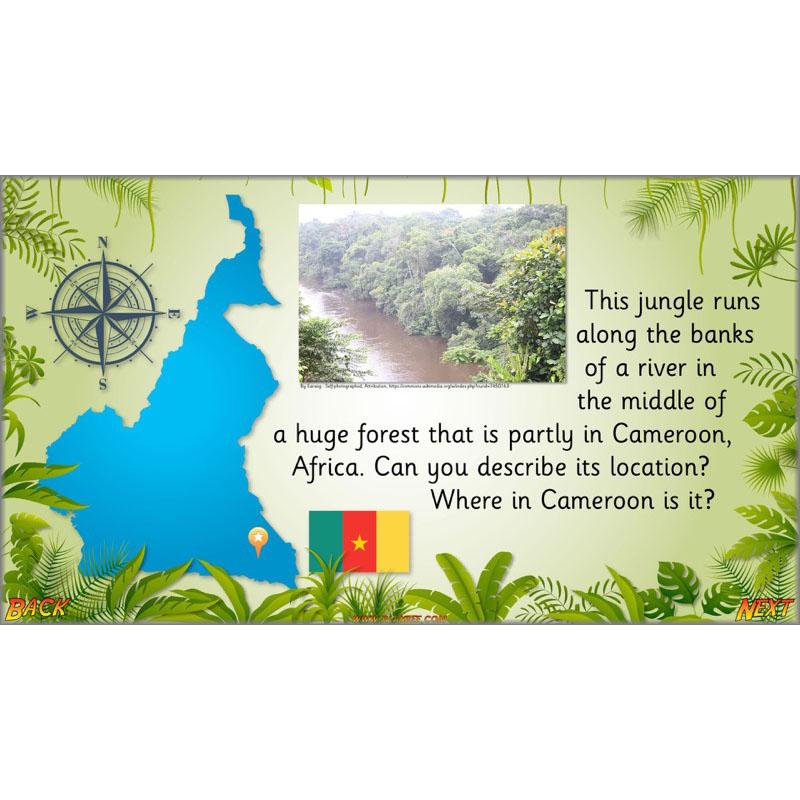 Let's go to the jungle - Image 27