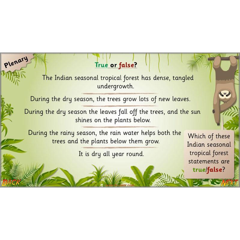 Let's go to the jungle - Image 36