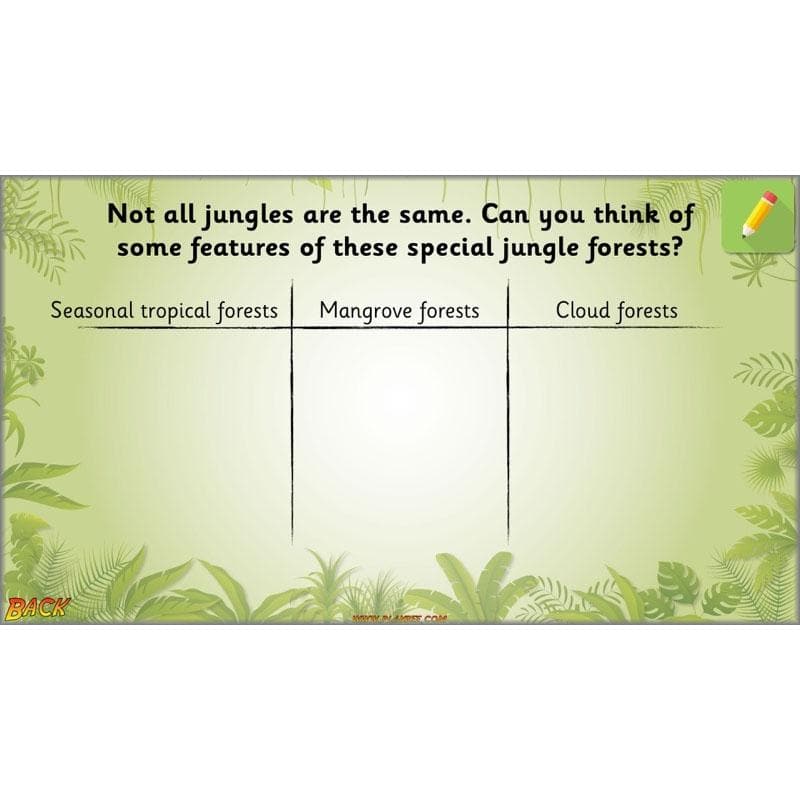 Let's go to the jungle - Image 5