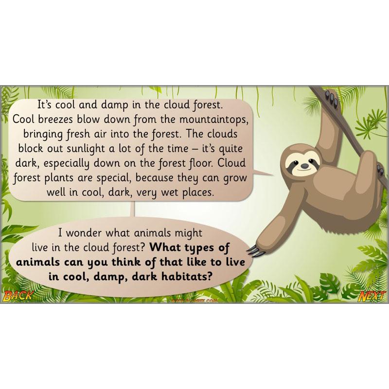 Let's go to the jungle - Image 51