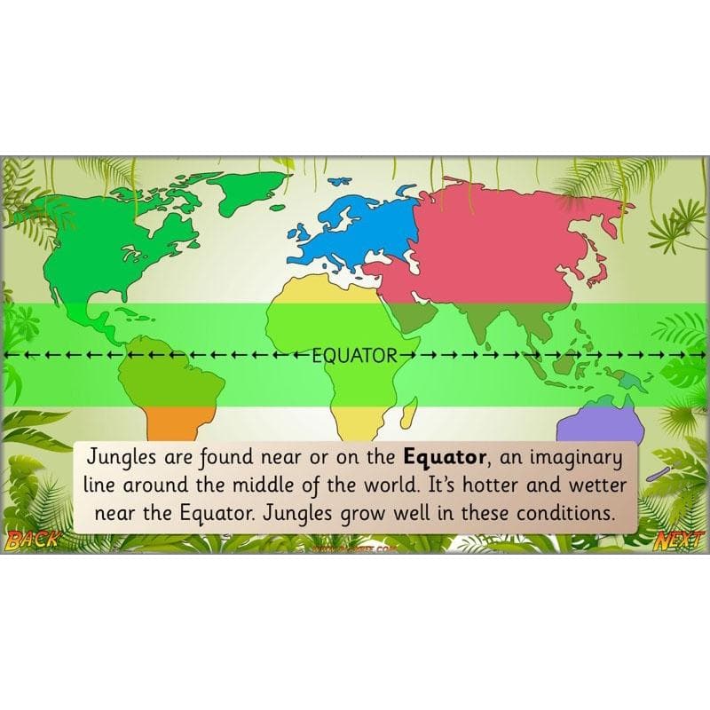 Let's go to the jungle - Image 6