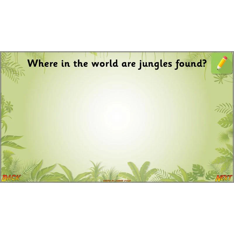 Let's go to the jungle - Image 67