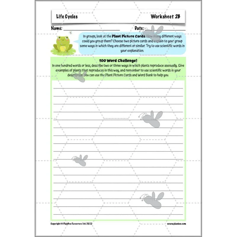 Life Cycles KS2 - Image 33