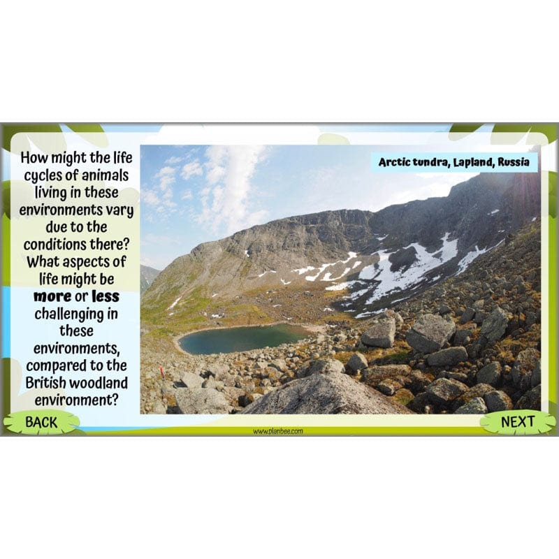 Life Cycles KS2 - Image 48