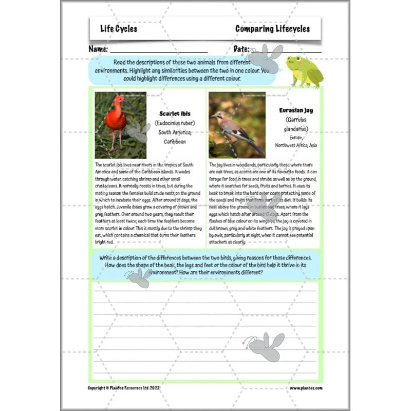 Life Cycles KS2 - Image 50
