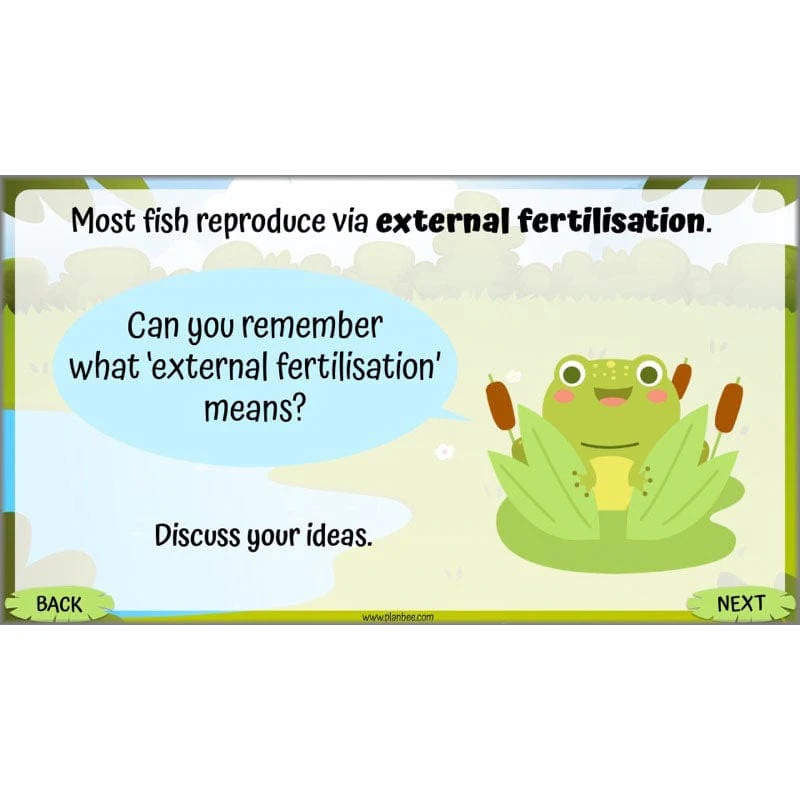 Life Cycles KS2 - Image 54