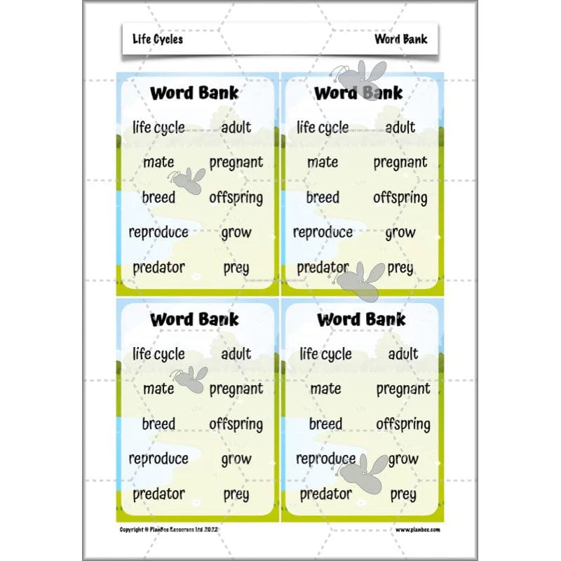 Life Cycles KS2 - Image 56