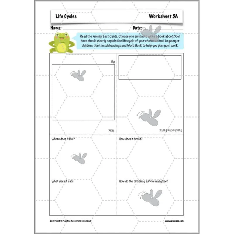 Life Cycles KS2 - Image 57