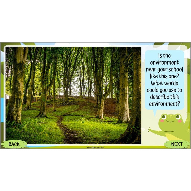 Life Cycles KS2 - Image 6