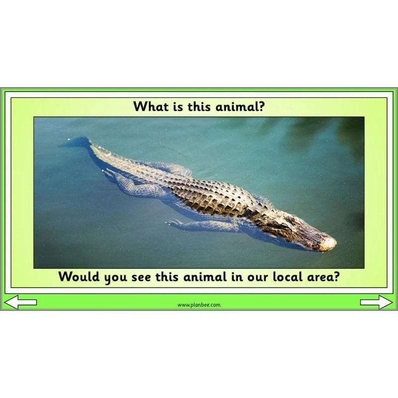 Linking Local Wildlife - Image 17