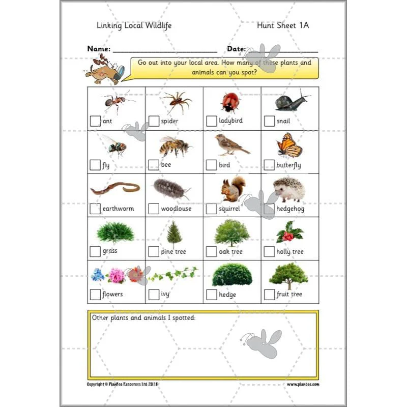 Linking Local Wildlife - Image 20