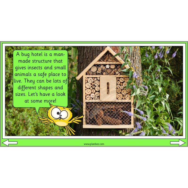 Linking Local Wildlife - Image 3